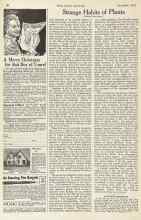 Better Homes & Gardens December 1923 Magazine Article: A TOMATO EXPERIENCE