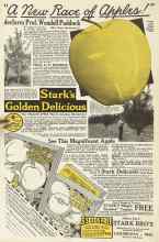 Better Homes & Gardens December 1923 Magazine Article: Page 52