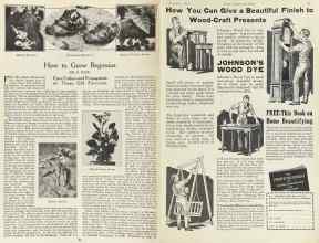 Better Homes & Gardens December 1923 Magazine Article: Page 20