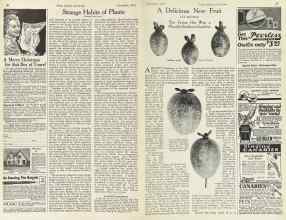 Better Homes & Gardens December 1923 Magazine Article: Page 36