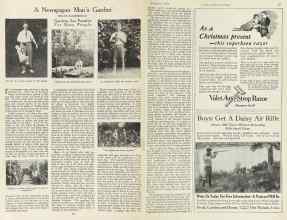 Better Homes & Gardens December 1923 Magazine Article: A Newspaper Man's Garden