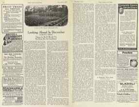 Better Homes & Gardens December 1923 Magazine Article: Looking Ahead In December