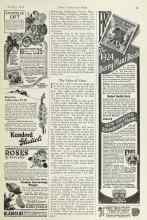 Better Homes & Gardens January 1924 Magazine Article: The Value of Vines