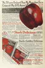 Better Homes & Gardens January 1924 Magazine Article: Page 52