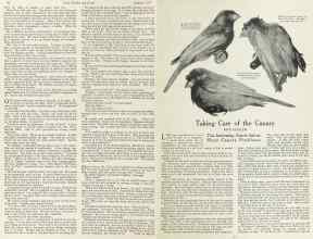 Better Homes & Gardens January 1924 Magazine Article: Page 10