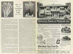 Better Homes & Gardens January 1924 Magazine Article: Page 20