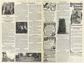 Better Homes & Gardens January 1924 Magazine Article: Page 26