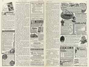 Better Homes & Gardens January 1924 Magazine Article: Page 38