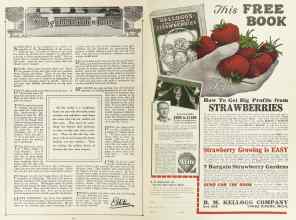 Better Homes & Gardens January 1924 Magazine Article: Page 50