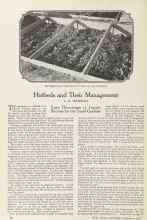 Better Homes & Gardens February 1924 Magazine Article: Hotbeds and Their Management