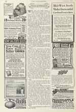 Better Homes & Gardens February 1924 Magazine Article: PRUNING AND SPRAYING GUIDE