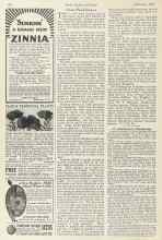 Better Homes & Gardens February 1924 Magazine Article: Sweet Pea Pointers