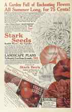 Better Homes & Gardens February 1924 Magazine Article: Page 88