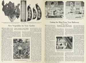 Better Homes & Gardens February 1924 Magazine Article: Page 10
