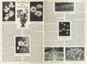 Better Homes & Gardens February 1924 Magazine Article: Have Flowers from Frost to Frost