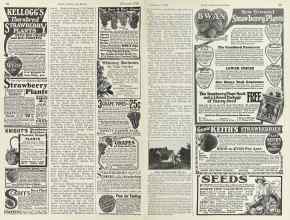 Better Homes & Gardens February 1924 Magazine Article: Page 68