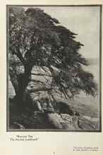 Better Homes & Gardens March 1924 Magazine Article: 