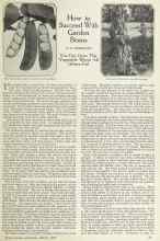 Better Homes & Gardens March 1924 Magazine Article: How to Succeed With Garden Beans