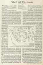 Better Homes & Gardens March 1924 Magazine Article: What I Did With Annuals