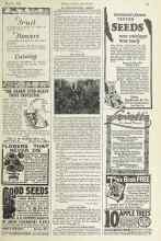 Better Homes & Gardens March 1924 Magazine Article: MY DAHLIAS
