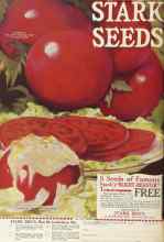 Better Homes & Gardens March 1924 Magazine Article: Page 80