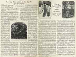 Better Homes & Gardens March 1924 Magazine Article: Page 12