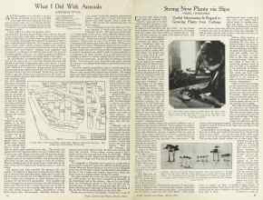 Better Homes & Gardens March 1924 Magazine Article: Page 16