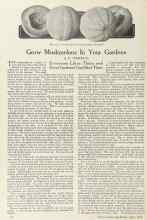 Better Homes & Gardens April 1924 Magazine Article: Grow Muskmelons In Your Gardens