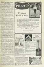 Better Homes & Gardens April 1924 Magazine Article: The Climbing American Beauty rose is is very desirable for trellis or arbor planting... ...