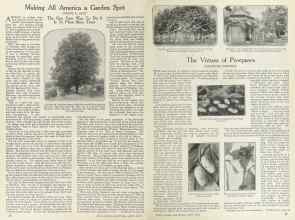 Better Homes & Gardens April 1924 Magazine Article: Page 16