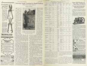 Better Homes & Gardens April 1924 Magazine Article: Selecting Apple Varieties for Small Gardens