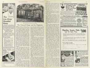 Better Homes & Gardens April 1924 Magazine Article: The Concord Grape and Its Originator