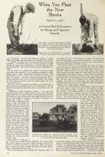 Better Homes & Gardens May 1924 Magazine Article: When You Plant the New Shrubs