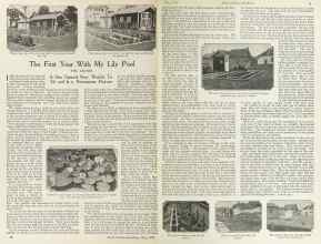 Better Homes & Gardens May 1924 Magazine Article: The First Year With My Lily Pool