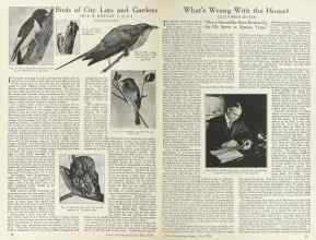 Better Homes & Gardens May 1924 Magazine Article: Page 14