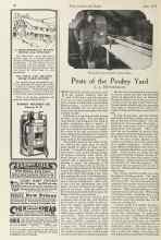 Better Homes & Gardens June 1924 Magazine Article: Pests of the Poultry Yard