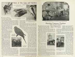 Better Homes & Gardens June 1924 Magazine Article: Page 14