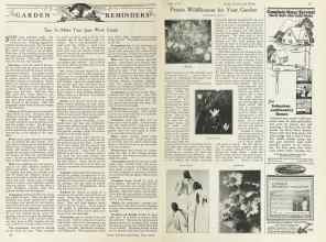 Better Homes & Gardens June 1924 Magazine Article: Page 26