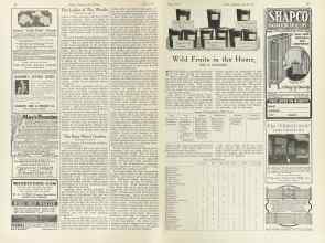 Better Homes & Gardens July 1924 Magazine Article: Page 34