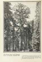 Better Homes & Gardens August 1924 Magazine Article: 