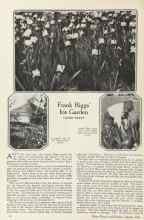 Better Homes & Gardens August 1924 Magazine Article: Frank Riggs' Iris Garden