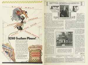 Better Homes & Gardens August 1924 Magazine Article: Page 2