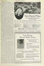 Better Homes & Gardens September 1924 Magazine Article: Beware the Poison Ivy