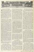 Better Homes & Gardens September 1924 Magazine Article: Cherries in the Garden