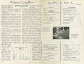 Better Homes & Gardens September 1924 Magazine Article: Fall Planting for Spring Blooms