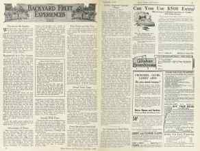 Better Homes & Gardens September 1924 Magazine Article: Page 36