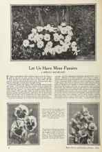 Better Homes & Gardens October 1924 Magazine Article: Let Us Have More Pansies
