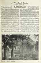 Better Homes & Gardens October 1924 Magazine Article: A Woodland Garden