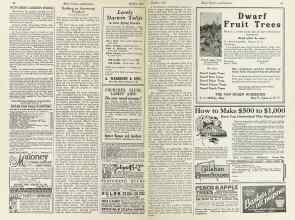 Better Homes & Gardens October 1924 Magazine Article: Page 40