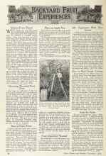 Better Homes & Gardens November 1924 Magazine Article: Fruit for Profit